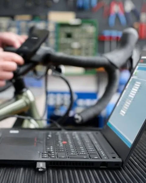 Diagnosis E-Bike